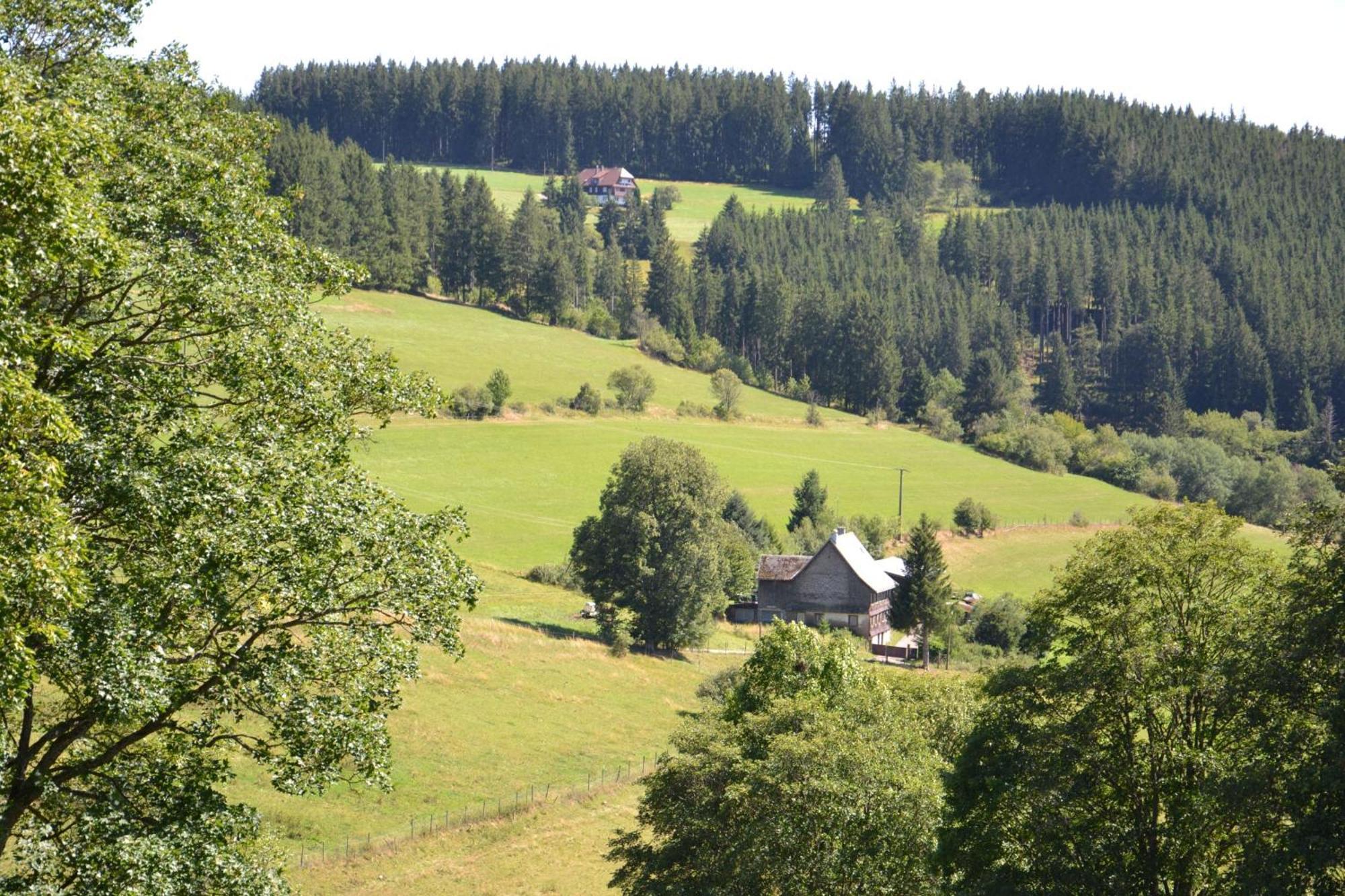 Ferienwohnung Beim Pauli Titisee-Neustadt Exterior photo